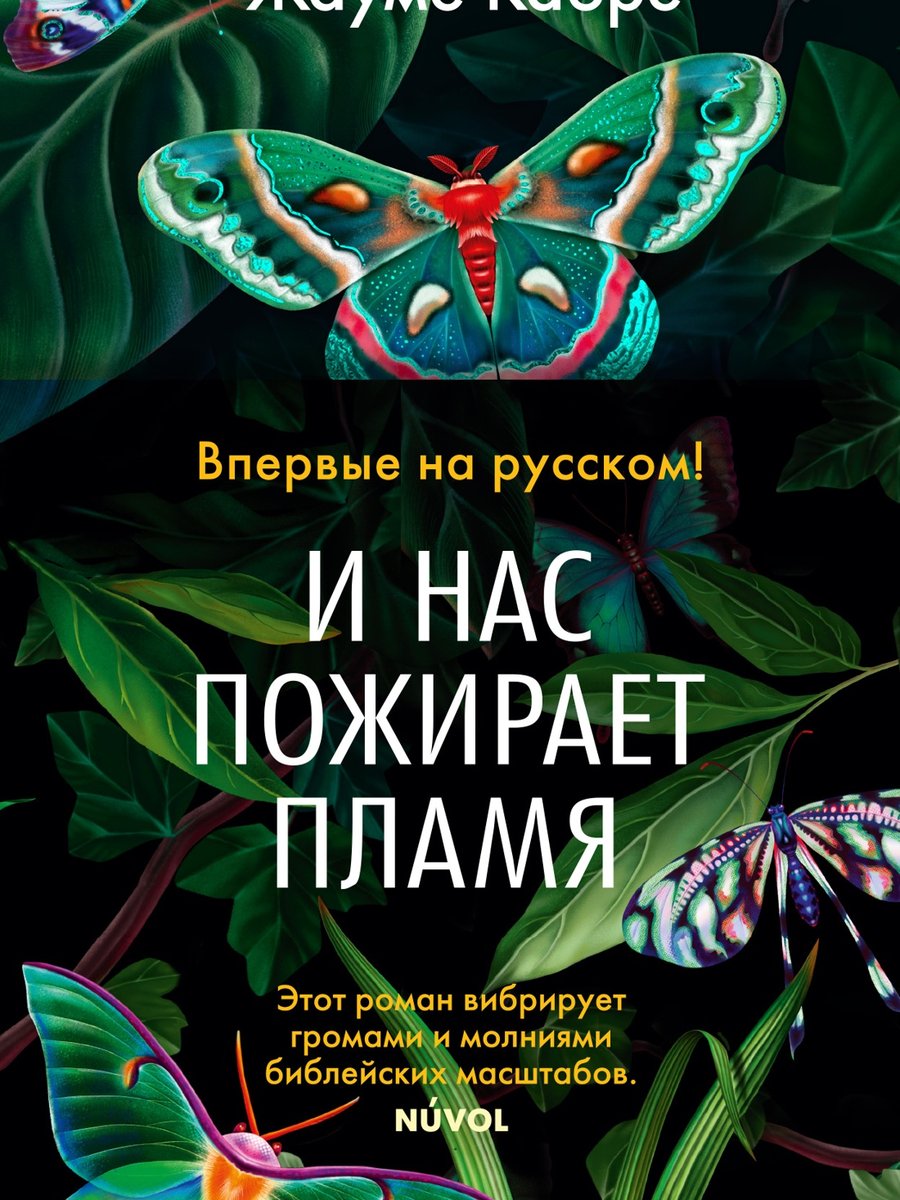 И нас пожирает пламя