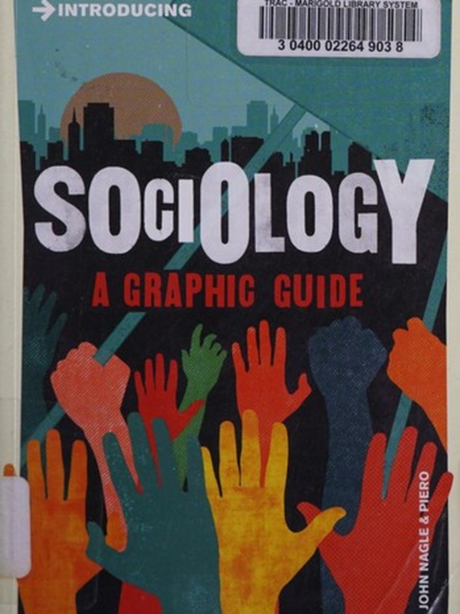 Sociology: A graphic guide